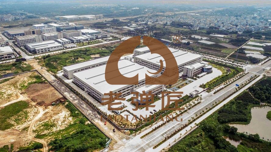 厂区鸟瞰图放在关于我们里面.jpg