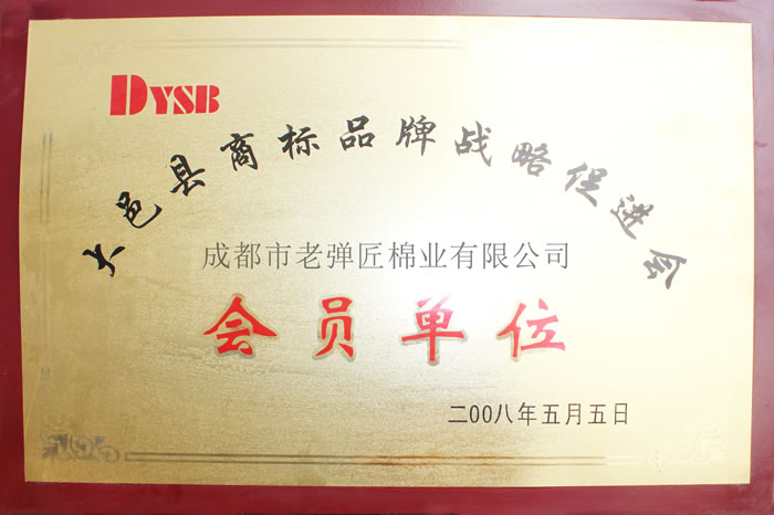 品牌战略会员单位